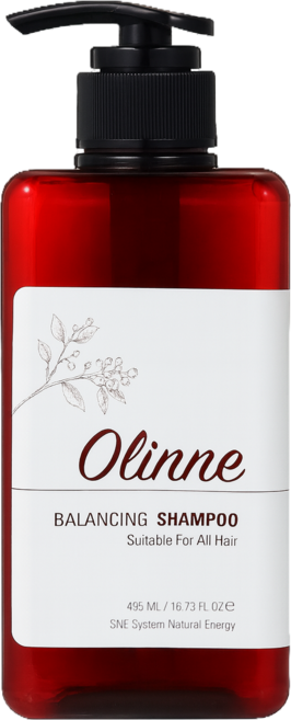 염색손상모 케어 샴푸 495ml 1+1, 2개