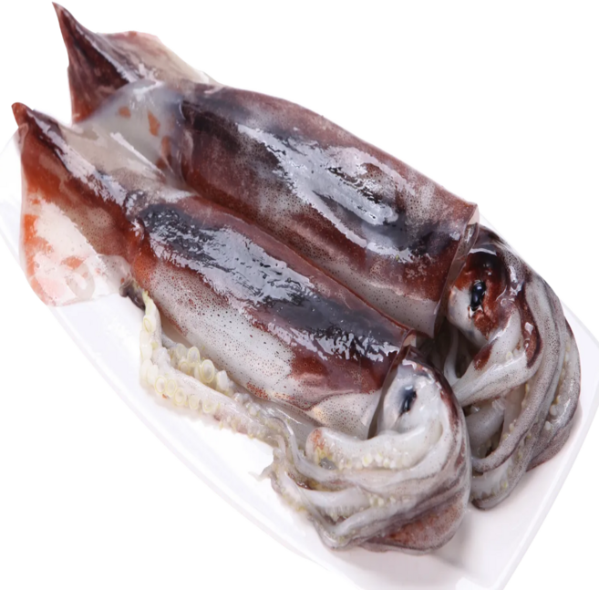 국내산손질오징어 중량별 판매, 5개, 1마리당 150g이상