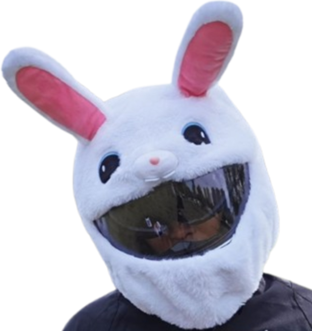 JEMIK 오토바이 헬멧 커버, A. 토끼