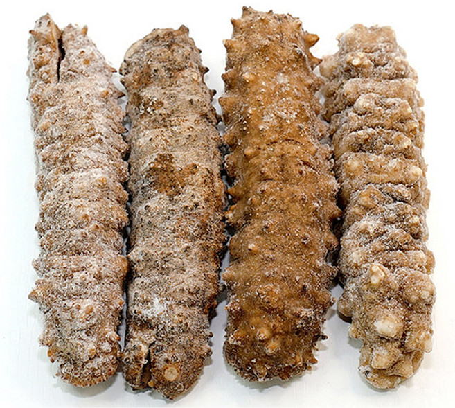 냉동 자숙 손질해삼 중식 재료, 1개, 550g