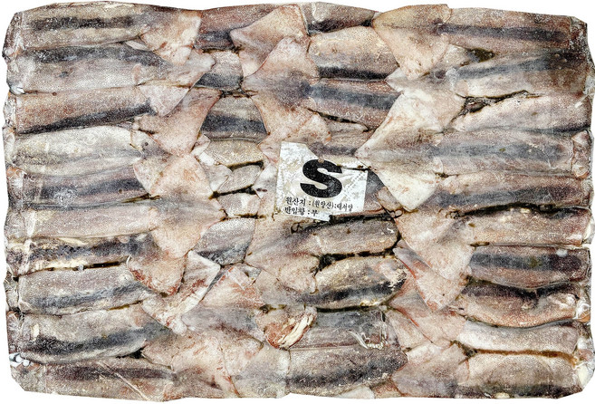 포크오징어 채낚이 선동오징어 원양산 업소용 포크 냉동, 1박스, 20kg, 사이즈 : S