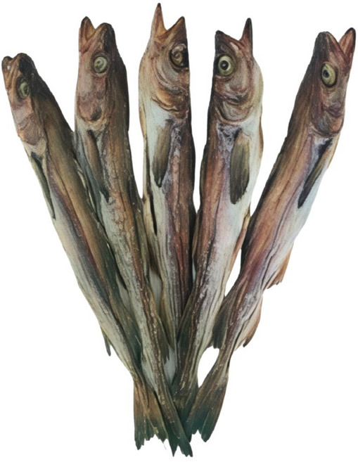 강원도 국내자연건조 언바람 묵호태 프리미엄 명품 고사용 북어 통북어 특대 48~52cm 10미 먹태, 1개, 특대(48~52cm)