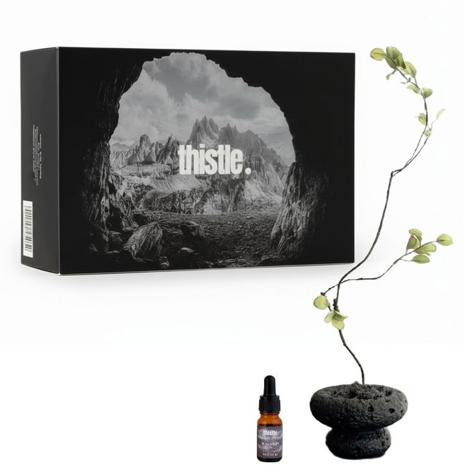 티슬 화분 스톤 디퓨저 화산석 아로마 오일 집들이 선물 세트 홈데코, 1개, 카야(교보문고향)