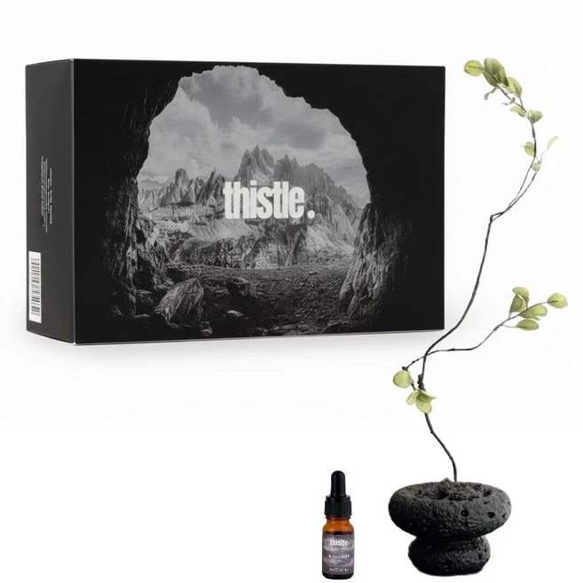 티슬 화분 스톤 디퓨저 화산석 아로마 오일 집들이 선물 세트 홈데코, 1개, 카야(교보문고향) - 쿠팡