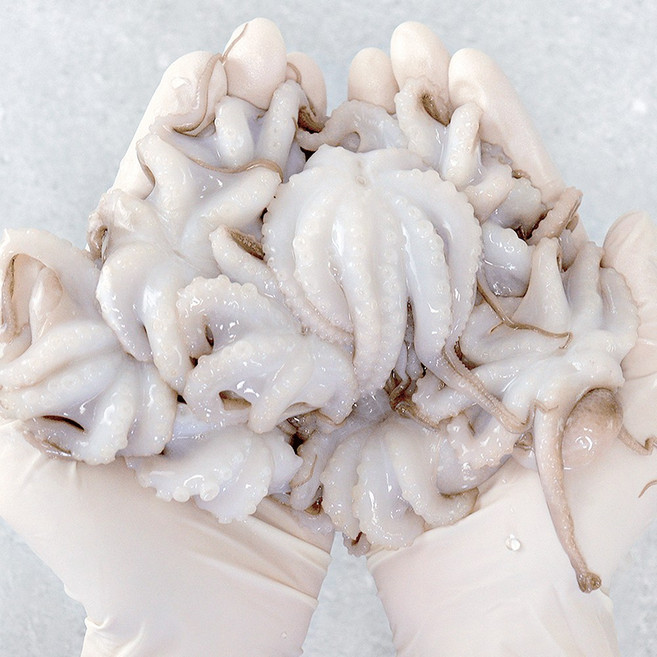 냉동 주꾸미 손질 쭈꾸미 내장제거 볶음용 샤브샤브, 사이즈 : 15미, 1개, 200g