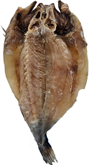 (100%국내산) 반건조 특대 활복민어, 1개, 반건조 특대 활복민어 1미