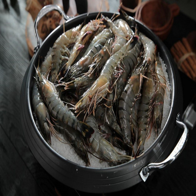 모조나인 캠핑 선물용 킹 블랙타이거 새우, 2박스, 500g(10미)