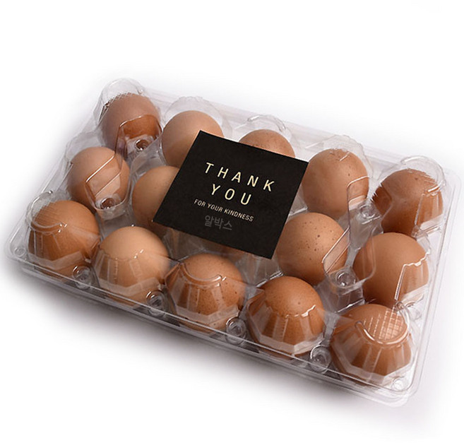 알박스 플라스틱 15구 투명계란케이스[특란/밀폐형], 100개