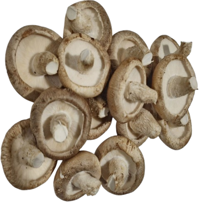 송향버섯 송화송고 착한 송이버섯 농가직송 국내산, 1박스, 식당용(가정용)1kg