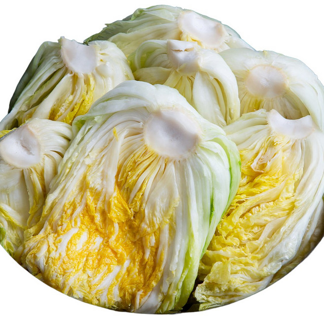 해남절임배추 20KG HACCP 절인배추 좋은세상협동조합, 1박스, 04월 24일(금), 04월 25일(토)도착