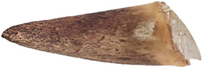 견수성찬 오래먹는 대형견간식 강아지수제간식 한우 소뿔 3개입, 1세트, 200g, 중형