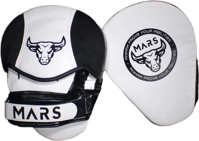 마르스 2쌍 관장님 전용 핸드 손 미트 펀치 트레이닝, 1세트
