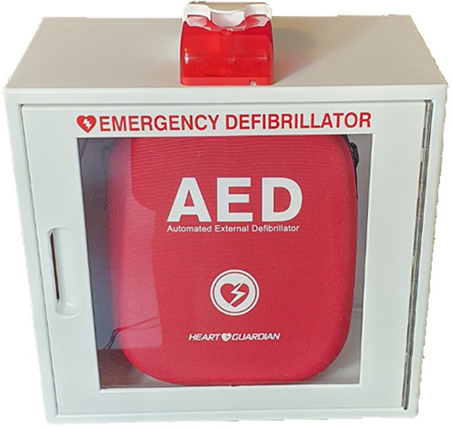 자동 심장충격기 라디안 HR-501 자동제세동기 보관함 사은품증정, 1개