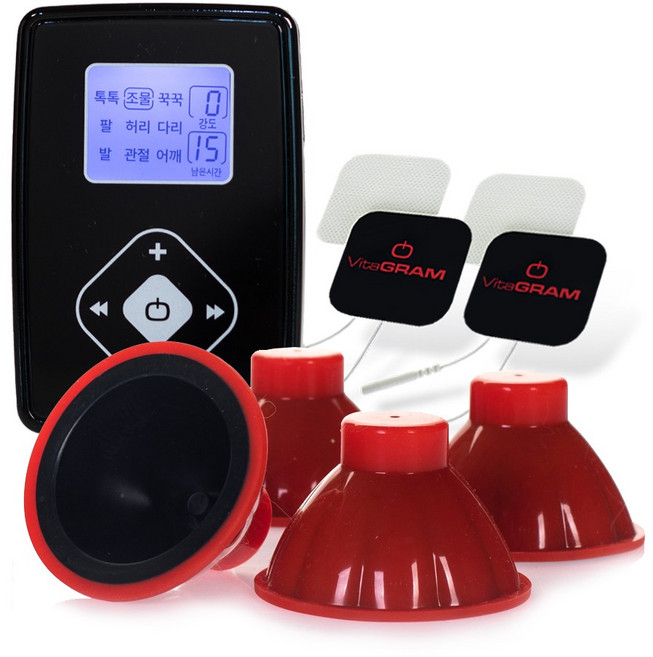 비타그램 저주파 마사지기 WGT-1235