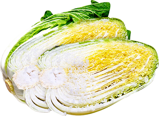 오늘마켓 국내산 절임배추10kg, 1개, 10kg