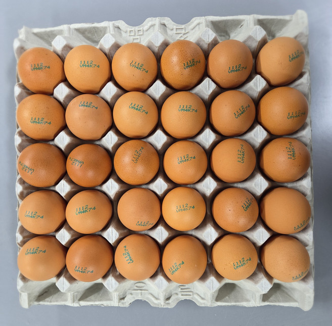 [알부자집] 무항생제계란 대란(52g~59g), 30구, 3개