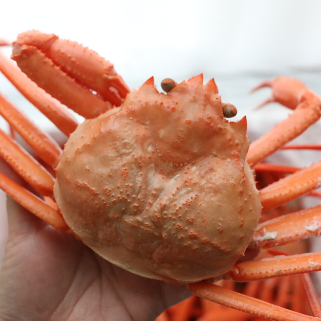 울진 후포 홍게 당일바리 자숙발송 고급홍게, 1개, 고급 자숙 홍게 2.5kg(7마리)