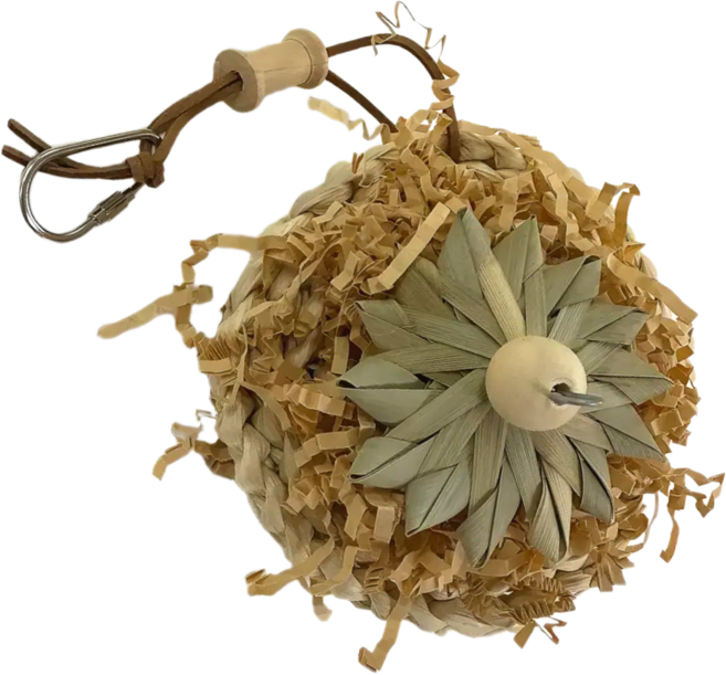 LETOJ 앵무새 씹는 장난감, 1개, 나무볼