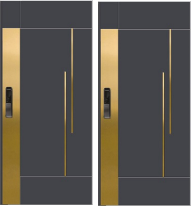 NEW 고급 골드 강판 디자인 방화문 아파트/빌라/주택/원룸/오피스텔 현관 방화문 (WS232), 문틀미포함