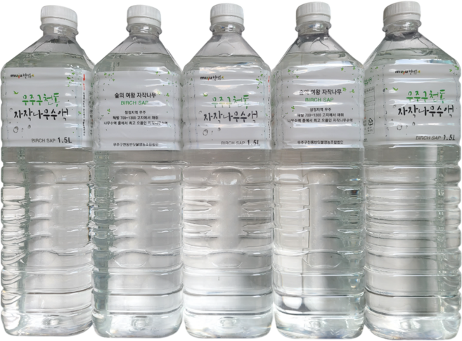 무주구천동 자작나무수액 자작나무물, 5개, 1.5L