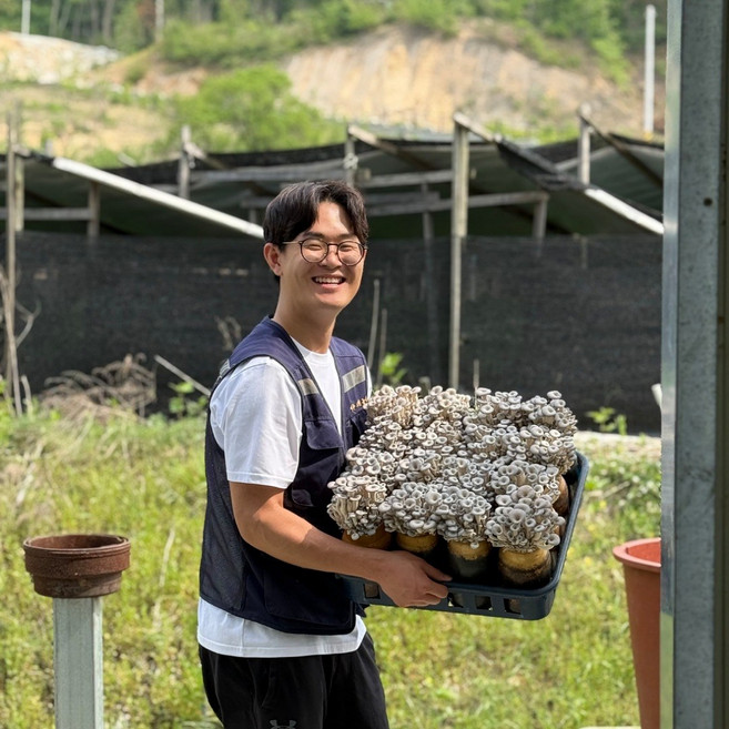 여주 청년농부 국산 춘추느타리버섯 산지직송 1kg 2kg, 1개