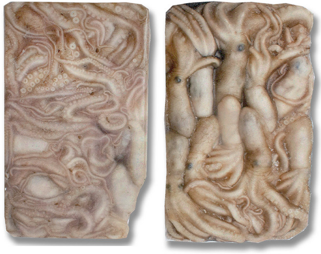 냉동낙지 오돌 활 낙지 급냉 도매 업소용 대용량, 사이즈 : 활낙지 10미, 1박스, 5.1kg