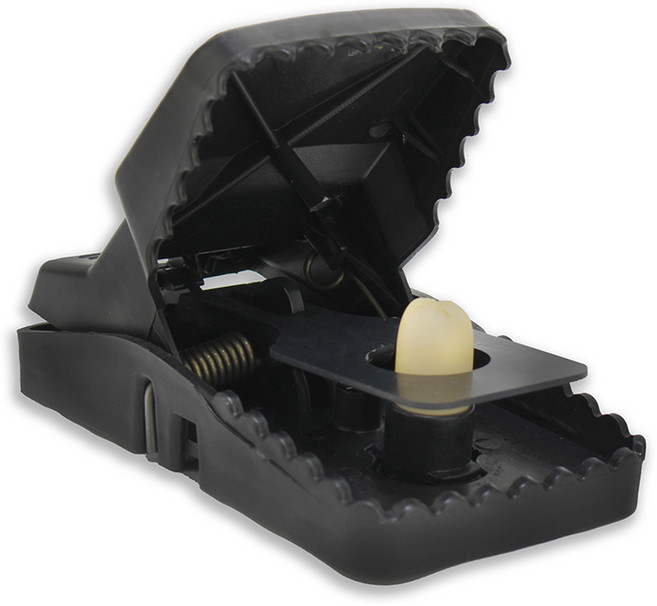 악어 쥐 덫 (마우스트랩 쥐잡이 쥐퇴치), 1개, 1개입