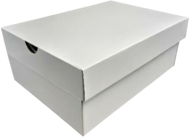 신발 정리함 DIY 신발박스 접이식 신발박스 신발 보관함 신발 정리함 신발장 신발 케이스 신발 수납박스 신발 정리함 신발 보관함, 1개, 백색