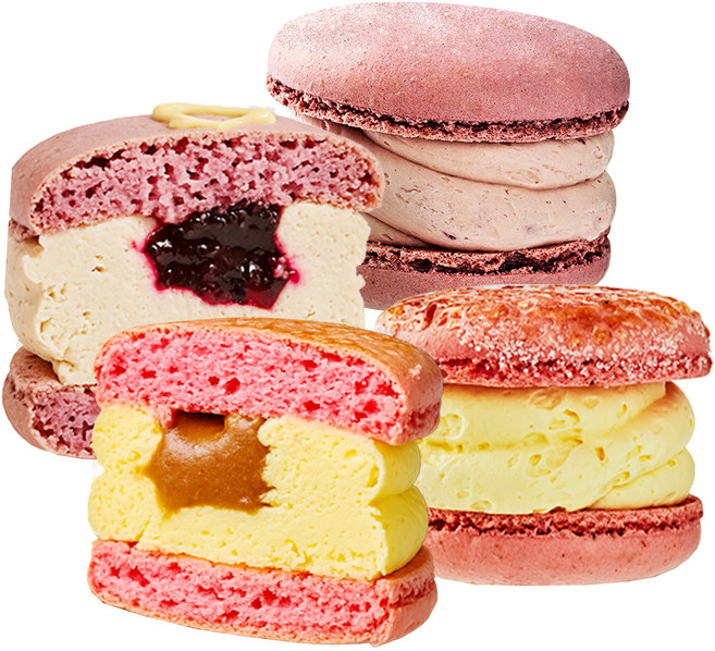 널담 뚱카롱 듀오에디션 고식이섬유 마카롱 솔티드플라워 +블루베리스타, 16개, 50g