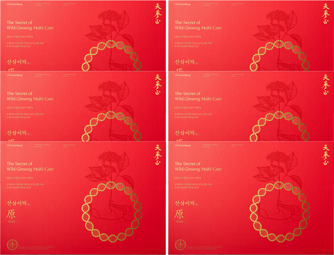 고농축 산삼진액 천삼정 산삼비책원 더 레드, 6박스, 600ml