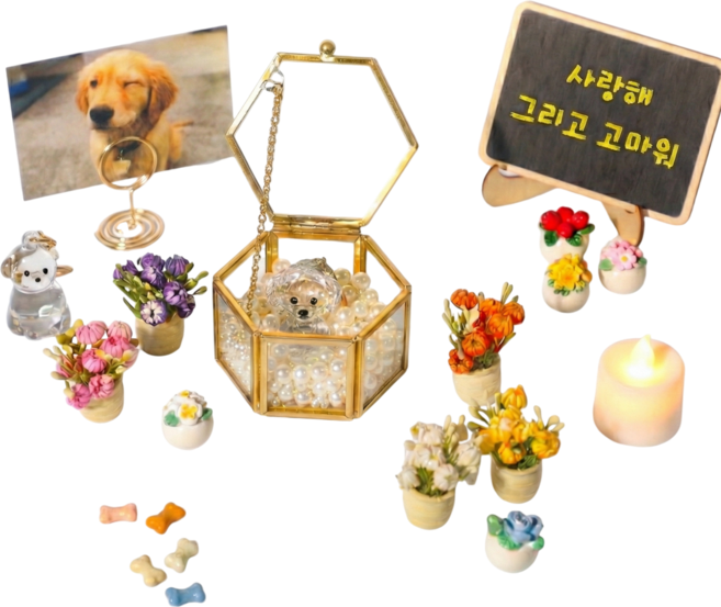 드림베이스 반려견 반려묘 추모 세트 반려동물 메모리얼 용품 미니어처 꽃 화분 액자 보석함, 1세트