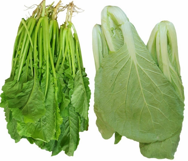 국내산 나주 산지직송 신선열무 (8kg)신선얼갈이(8kg) 열무+얼갈이(8kg) 알뜰농장, 1개, 열무+얼갈이(8kg) 국내산