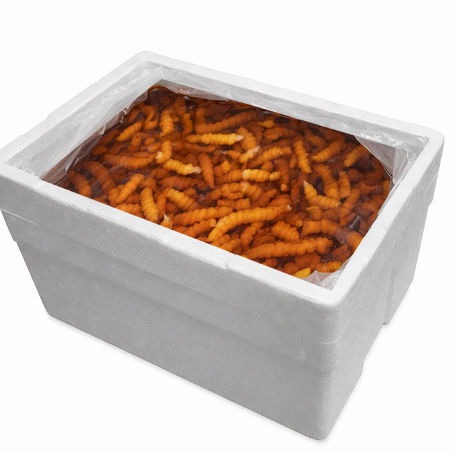 오식이 초석잠 장아찌 10kg 대용량 식자재, 1개