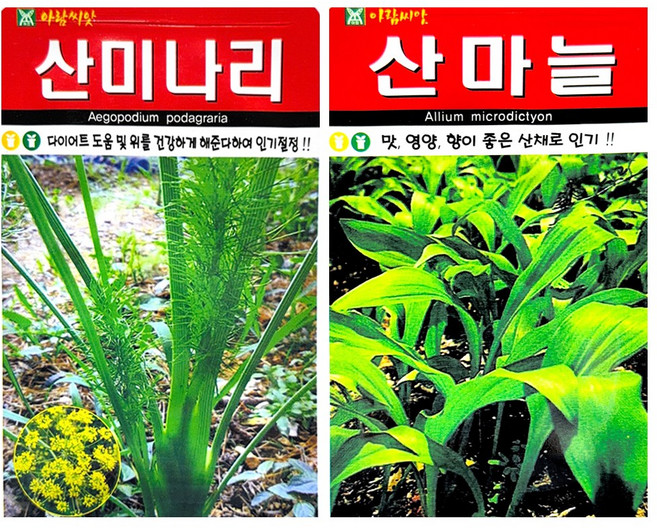 민속채소 씨앗 2봉 (산마늘+산미나리) 종자 씨, 1개