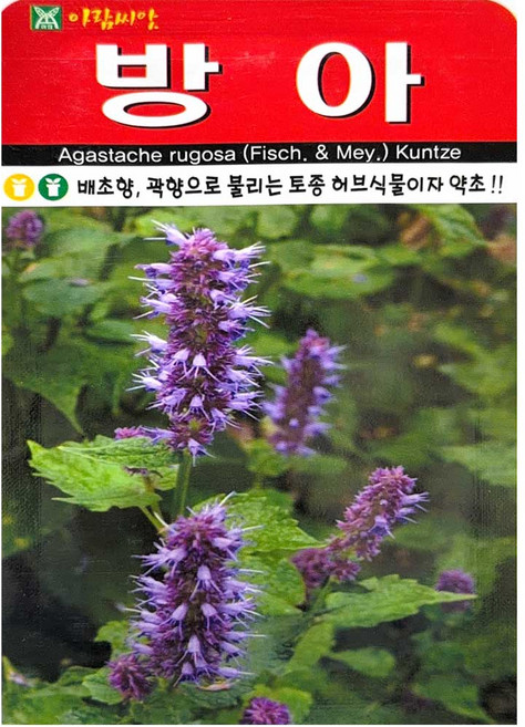 세인화분 방아 소포장 - 국산 배초향 곽향 씨 씨앗, 2개