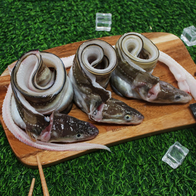 통영 자연산 손질 바다장어 1kg + 소스 2종, 1개, 손질후 750g(4~5미)머리뼈 유