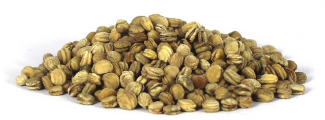 한국인삼유통공사(주) (9301) 장뇌삼 산양삼 재배용 인삼씨앗 100g, 1개