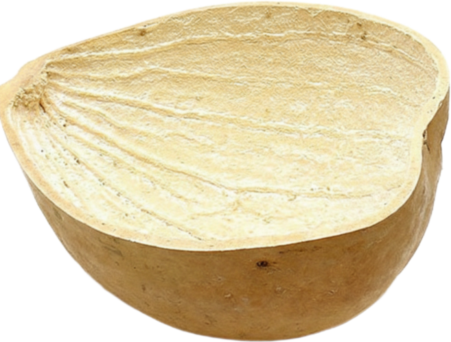 마켓피아 바가지 표주박 조롱박 이사 액땜 결혼 함들이 자동차 고사용 함지기 (단일), 소 small, 1개, 박바가지