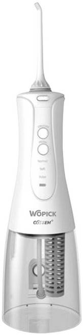 오스템 와픽 휴대용 구강세정기 치아 구강세척기 WO-200, 1개입