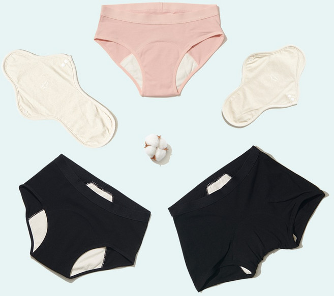 [SET]싸이클린 생리팬티 순면 팬티생리대 여성 초등 첫생리 초경 주니어 속옷 선물세트