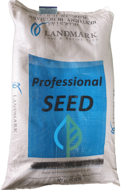 (LT)양잔디씨앗(켄터키블루그라스)1kg 정원용씨앗, 1개