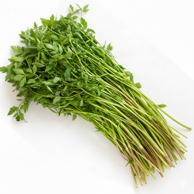 향긋한 청도 미나리 500g, 1개