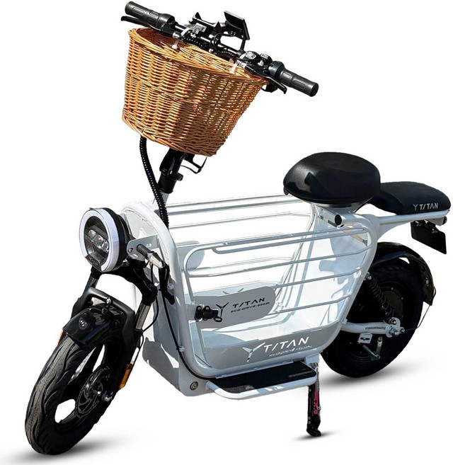 타이탄600 pro 강아지 대형견 대용량 전기 스쿠터 전동 21ah 블랙, 화이트(6번사은품), 하이텐강