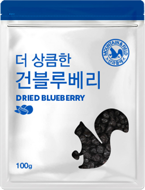 산과들에 건 블루베리 100g 4봉 400g 건과일, 4개