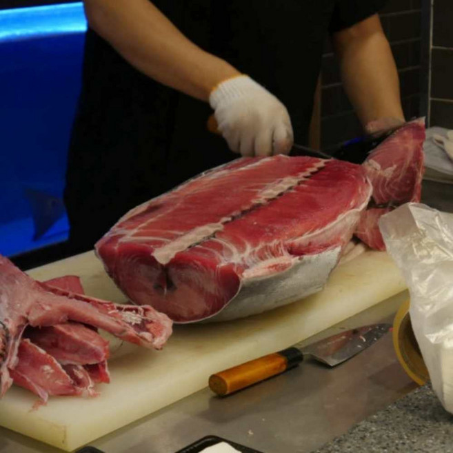 동해안 손질 통 참치 참다랑어 회 1마리, 1개, 원물 2.5-4kg 내외