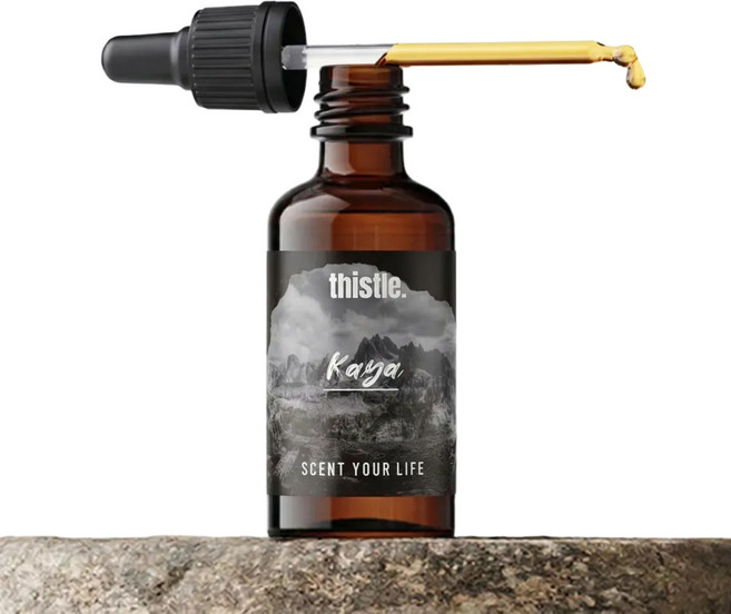 티슬 디퓨저 프래그런스 리필 오일 원액 방향제 아로마 석고 스톤 디퓨져, 테싯(이솝향), 1개, 50ml