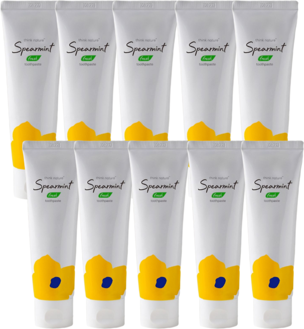 씽크네이처 무불소 천연 치약 프레쉬 스피아민트 임산부 구취제거 잇몸케어 안심 치약, 100g, 10개