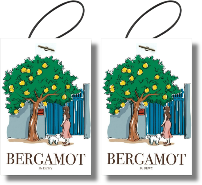 비듀이 퍼퓸 샤쉐 차량용 에어 프레셔너 20g 4종, 베르가못, 2개