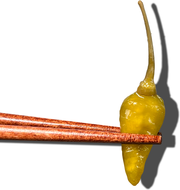 올바른식품 산고추 절임 장아찌, 1개, 1kg