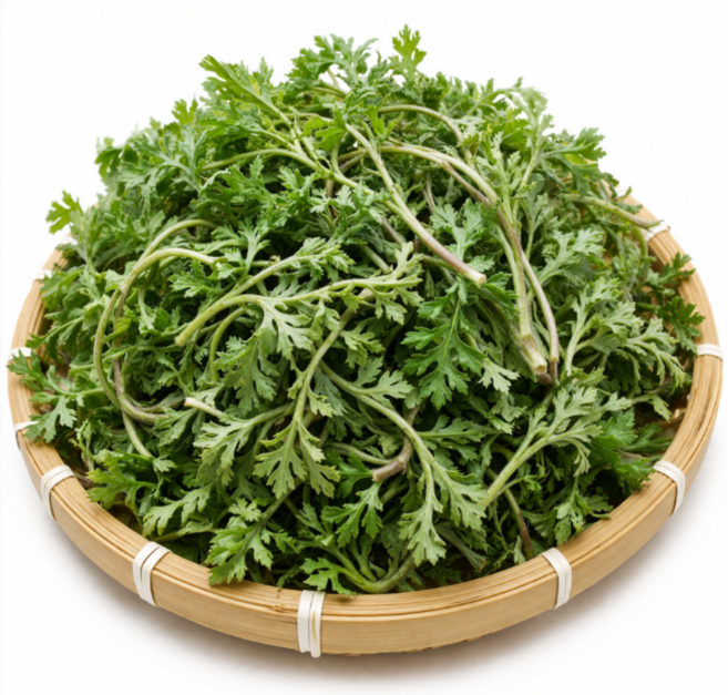 국내산 쑥 당일채취 나물 함평 생쑥 향긋한 쑥나물, 2kg, 1개